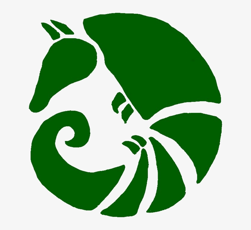 Armadillo, transparent png download