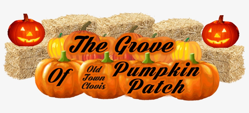 If You Have Any Questions Or Concerns, Please Contact - Miniature Authentic Hay Bale, transparent png download