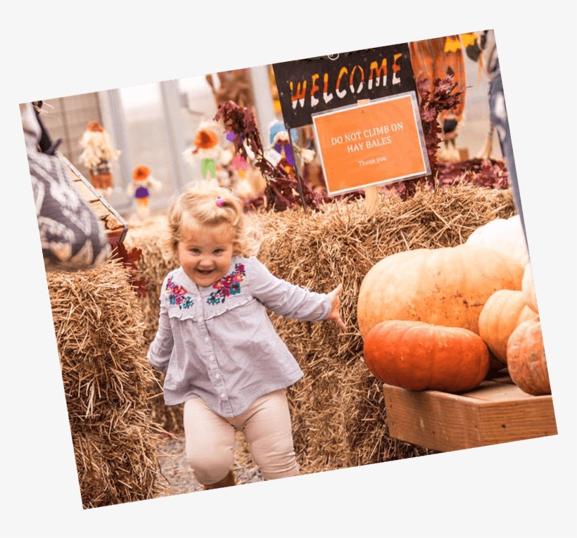 Whether You're Hoping To Impress Guests With Your Favorite - Toddler, transparent png download