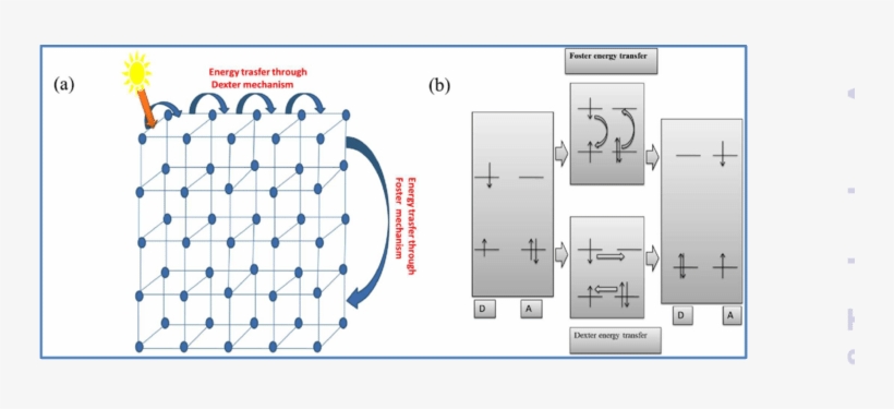 Ligand To Ligand Energy Transfer Through Fo¨rster And - Ligand, transparent png download