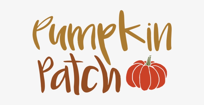 Pumpkin Patch Is A Great Collection That Is Shipping - Festival, transparent png download
