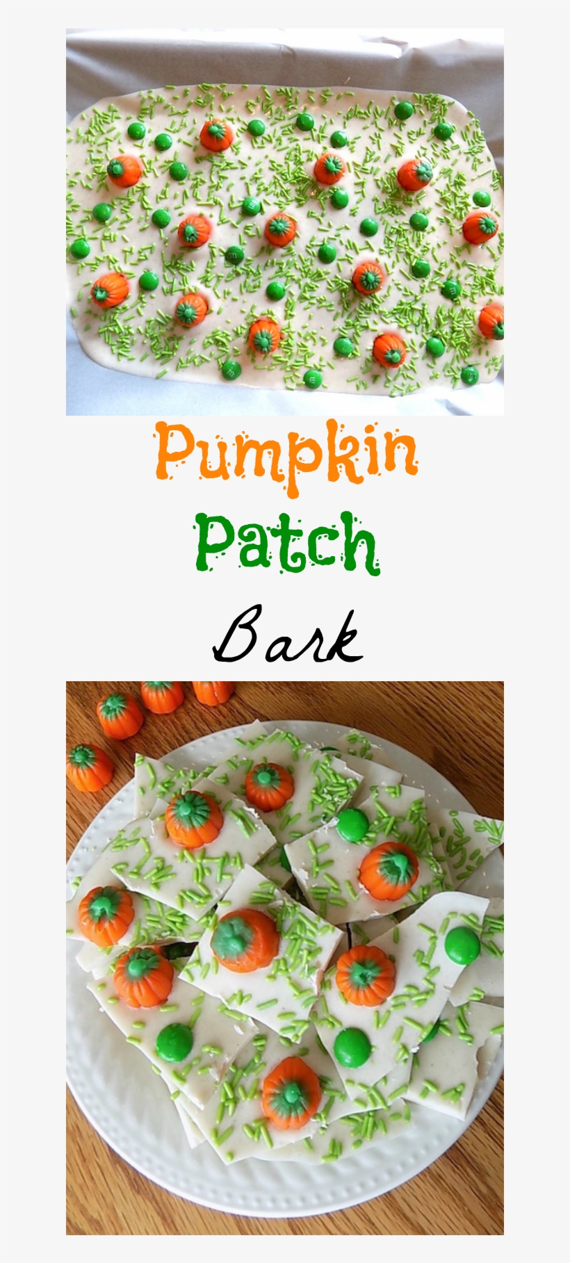 Fall Is Here & It's Pumpkin Time This Pumpkin Patch - Food, transparent png download
