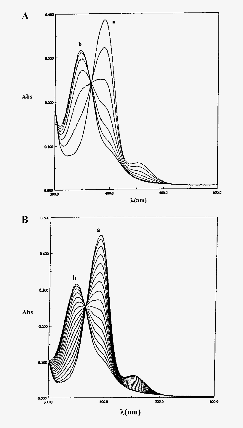 Hydrolysis Of Nami In The Presence Of Albumin - Diagram, transparent png download
