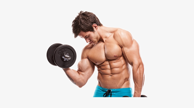 Gym Workout Png - Occlusion Training Bands By Bfr Bands, Pro Model, 2, transparent png download
