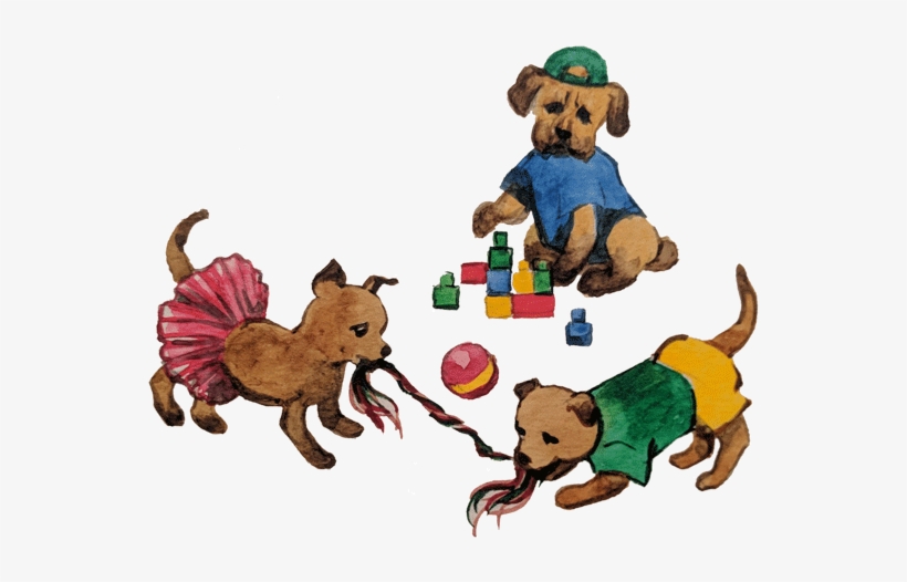 Pet Sitting And Overnights - New York Tails, transparent png download