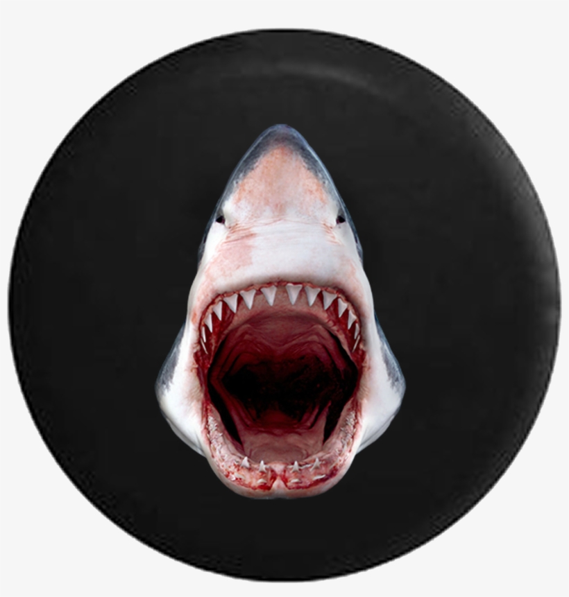 Great White Shark Jaws Open Razor Sharp Teeth Jeep - Great White Shark, transparent png download