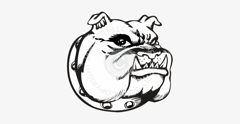 Bulldog, transparent png download