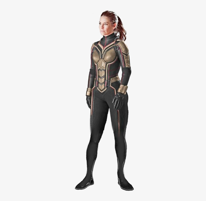 Wasp Marvel Png - Wasp Marvel Transparent, transparent png download
