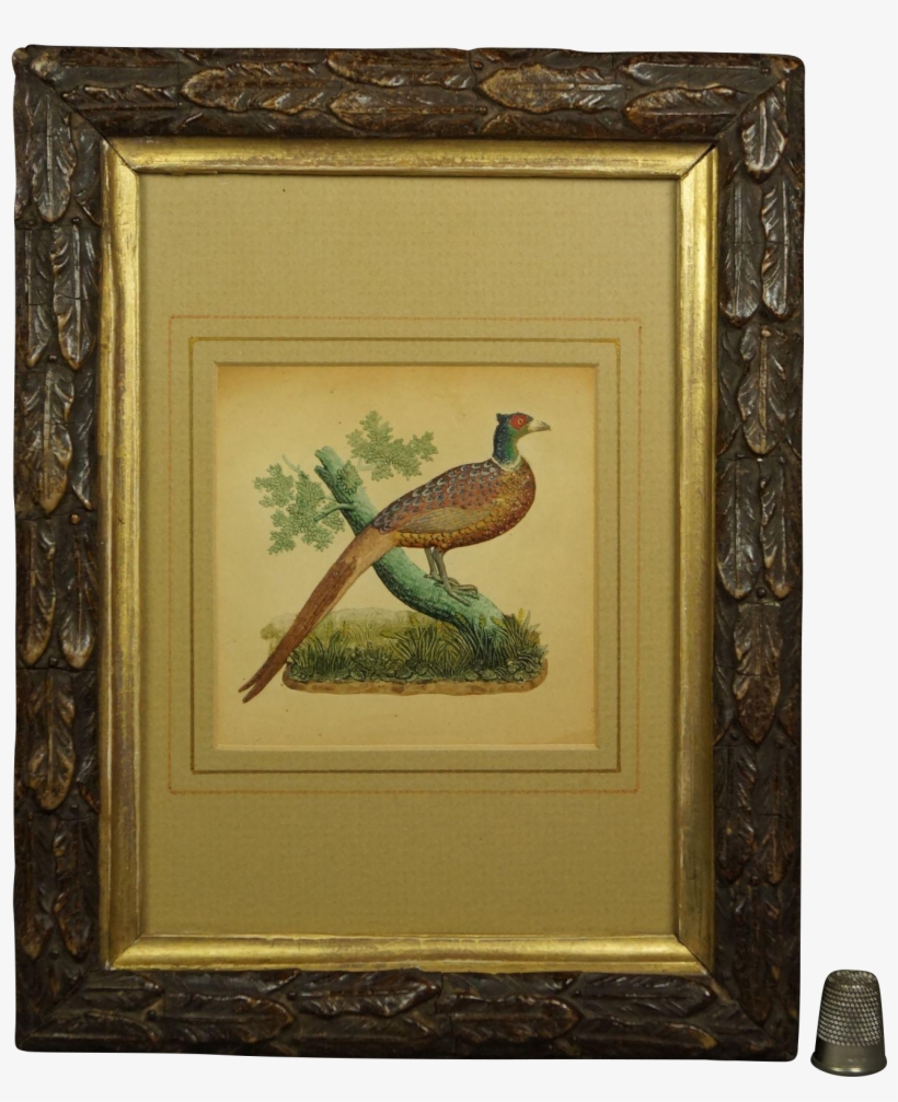 19th Century English Watercolor Embossed Paper Pheasant - Picture Frame, transparent png download