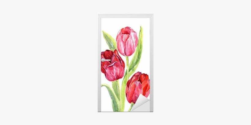 Tulipanes En Acuarela Png, transparent png download
