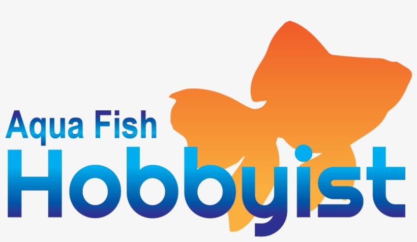 Aquarium Gravel Beginners Guide - Aqua Fish, transparent png download