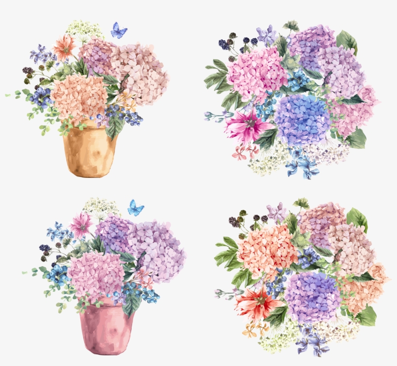 Picture Free Stock Petiolaris Blossom Illustration - Um Pedacinho Do Céu, transparent png download