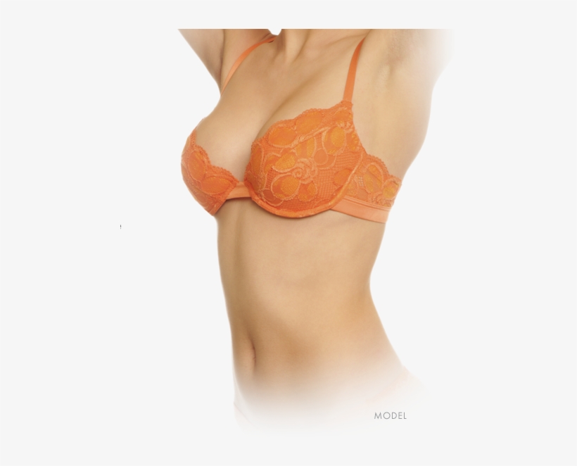 Image Of Model - North Carolina, transparent png download