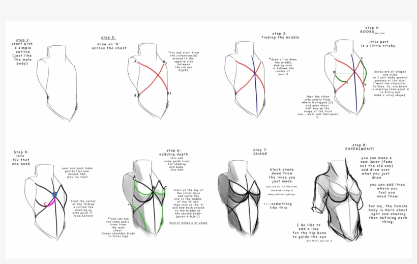 Female Chest Female Chest Reference PNG Image Transparent PNG Free