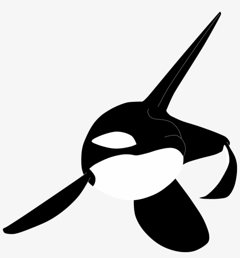 Sketch - Orca Tattoo Png, transparent png download