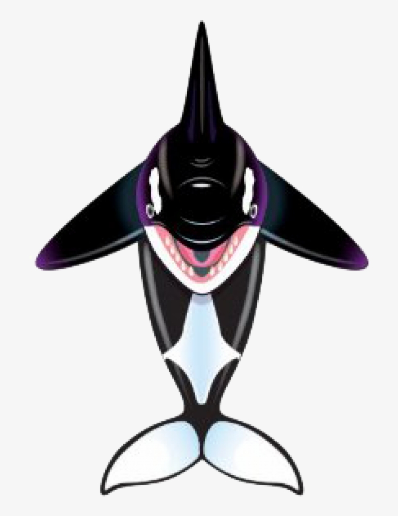 Windnsun Sealife 57" Dlx Nylon Kite - Windnsun Sealife Nylon Kite (orca 57), transparent png download