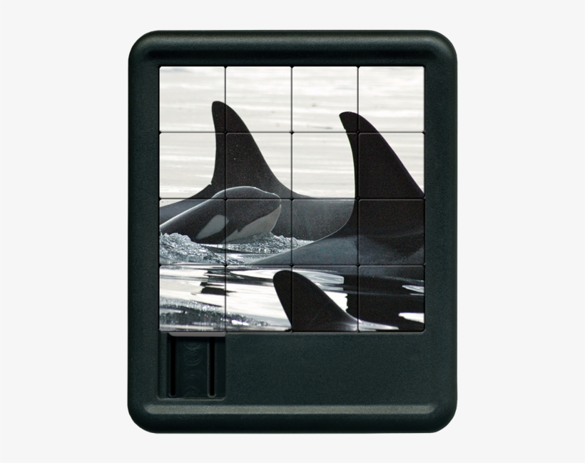 Seattle Sliding Tiles - Killer Whale, transparent png download