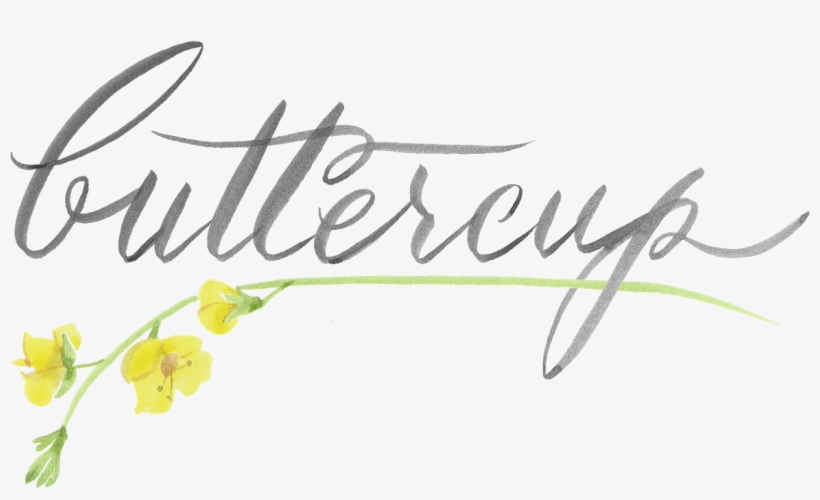 Buttercup - Pearland Coffee Roasters, transparent png download