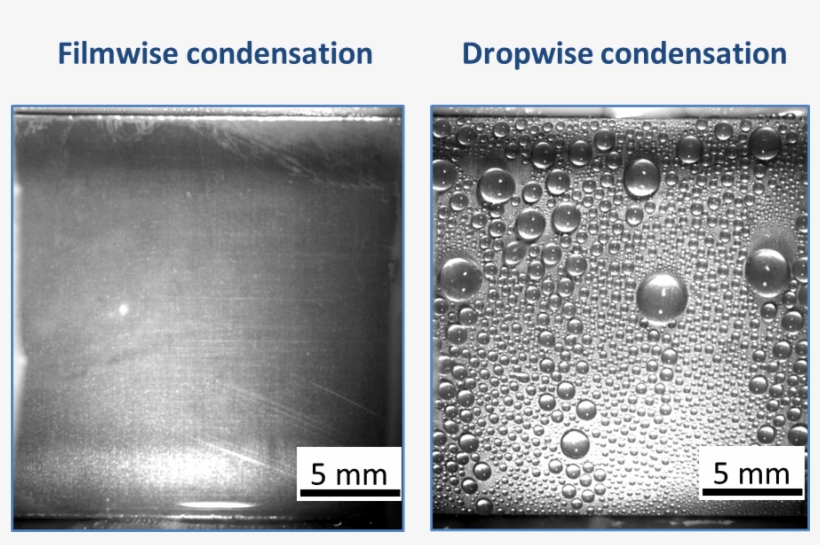 Two Modes Of Condensation Dropwise Condensation PNG Image