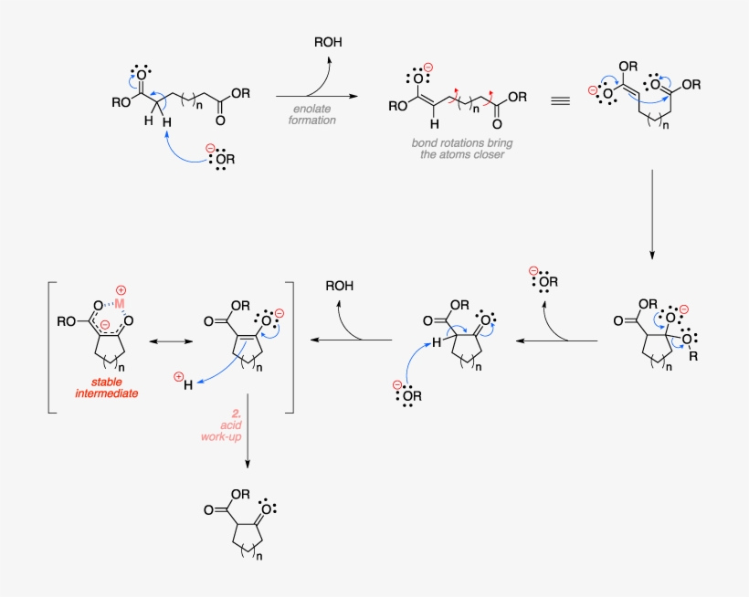 Mechanism Of The Dieckmann Condensation - Diagram, transparent png download