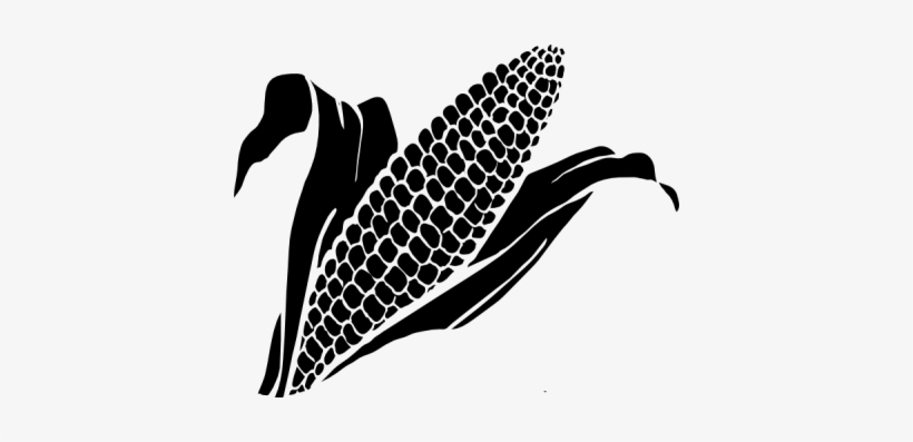 Corn Clipart Kid - Corn Clipart, transparent png download