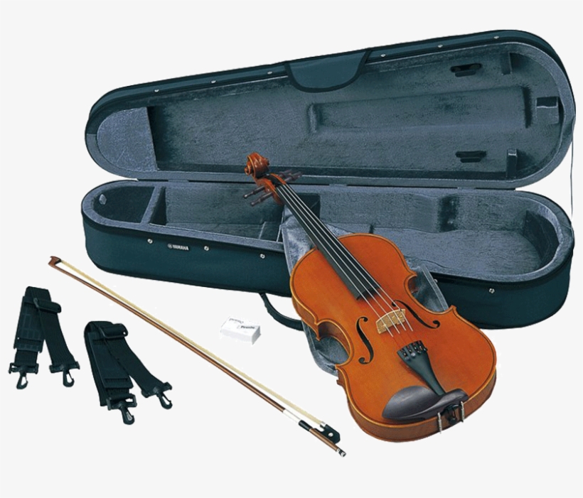 Yamaha Va5s Viola 8 - Yamaha Va5s Student Viola, 14 Inch, transparent png download