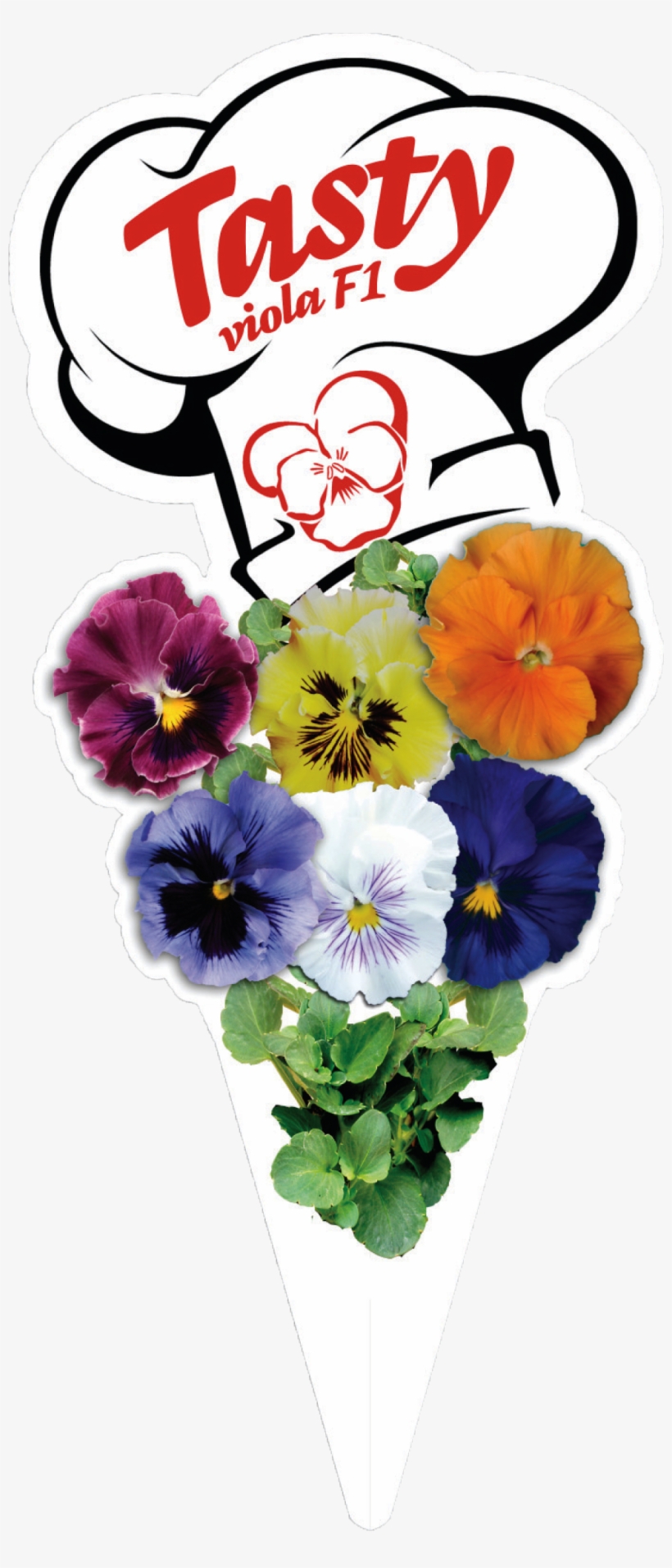 Click To Open Image Click To Open Image - Pansy, transparent png download