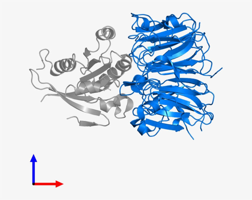 <div Class='caption-body'>pdb Entry 1i2m Contains 1 - Graphic Design, transparent png download
