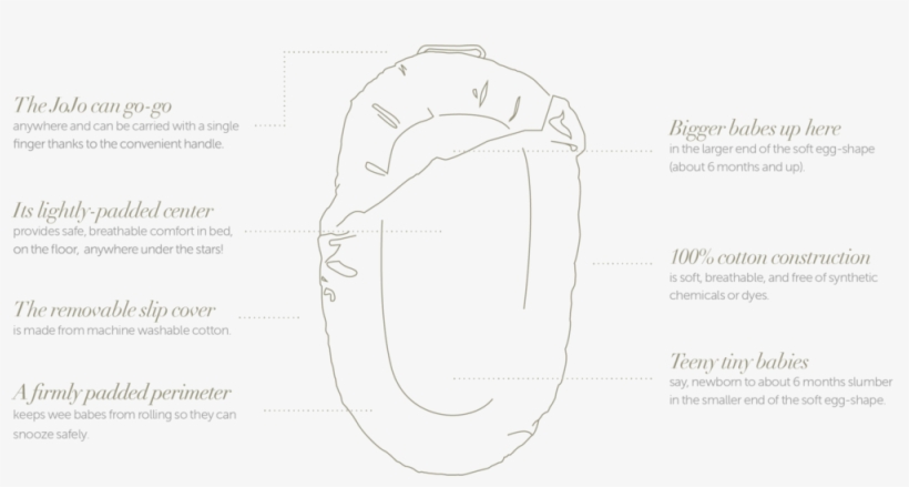 Jojo-features - Portable Network Graphics, transparent png download