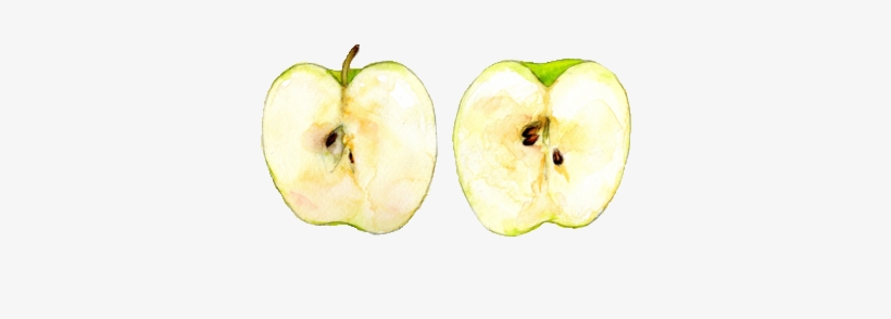 7 Foods That Totally Destroy You Abdominal Fat - Apple Watercolor, transparent png download