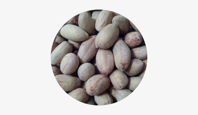 Janvi Enterprise, transparent png download