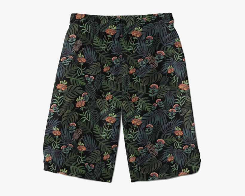 Board Short, transparent png download