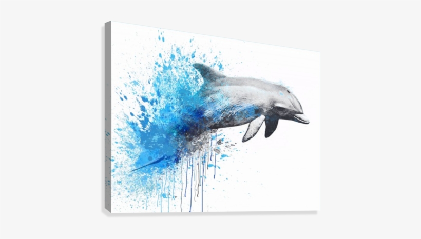 Dauphin Art - Common Bottlenose Dolphin, transparent png download