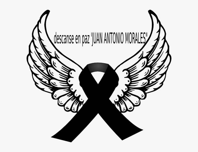 Small - Angel Wings, transparent png download