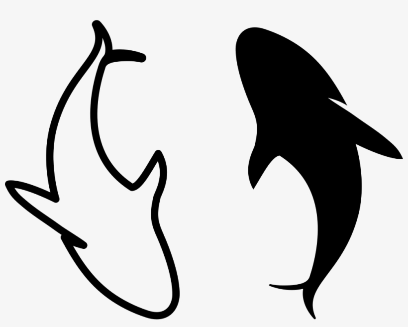 Png File - Dolphin, transparent png download