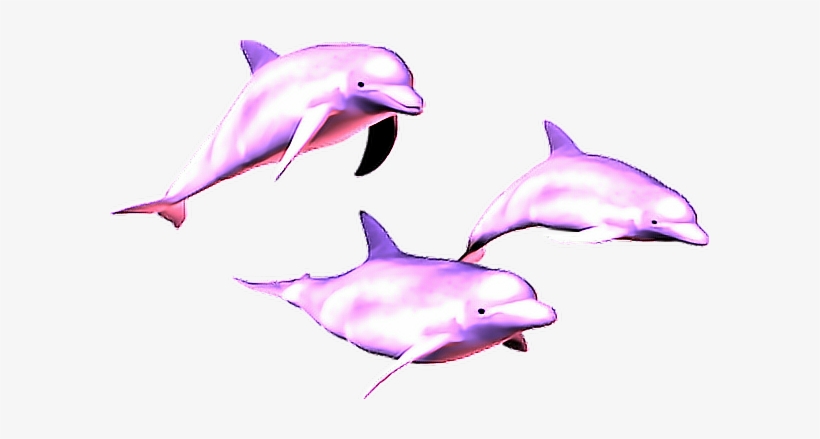 15 Vaporwave Dolphin Png For Free Download On Mbtskoudsalg - Vaporwave Dolphin Png, transparent png download