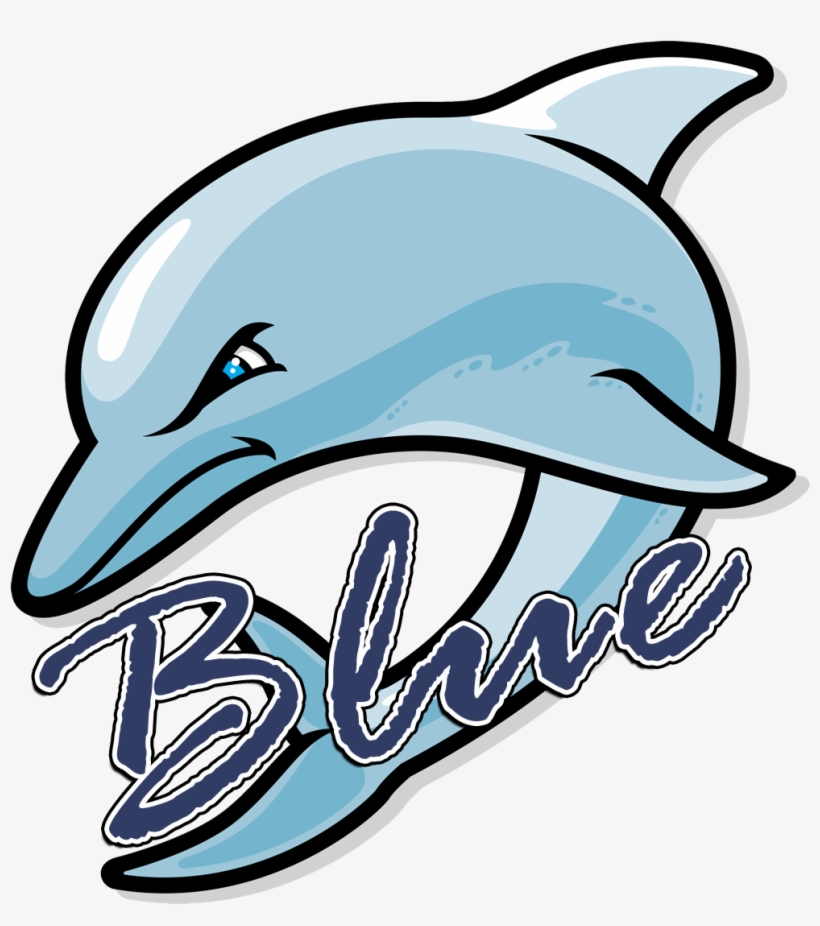 Dolphins Logo Png - Fort Myers Middle Academy, transparent png download