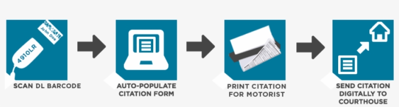 Ecitation Flow Chart - Calm And Carry On Book, transparent png download