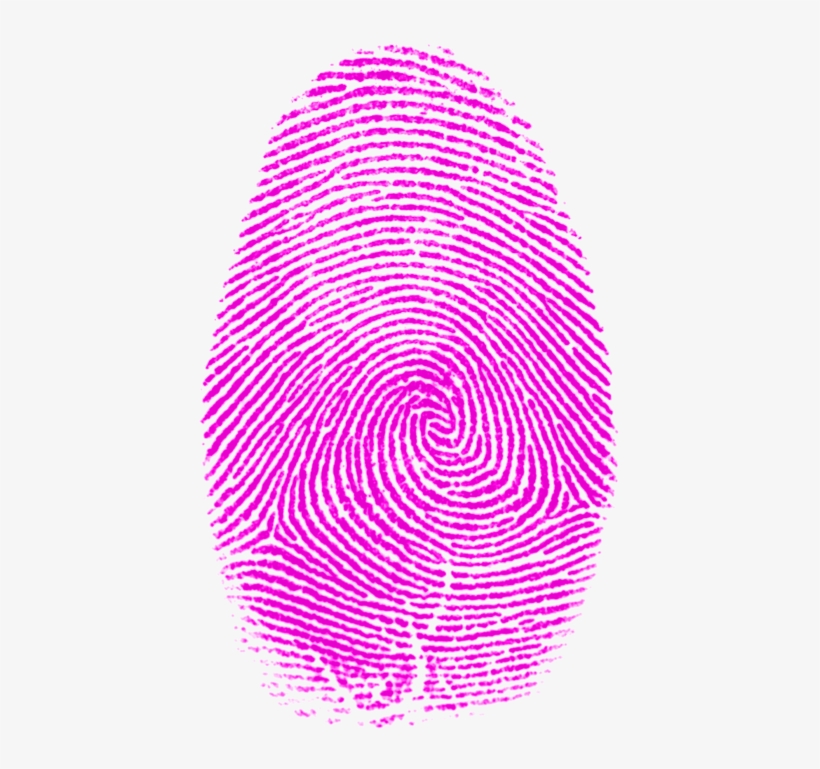 Fingerprint - Fingerprint Patterns, transparent png download