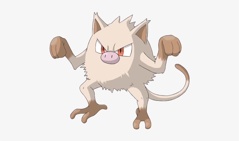 Related Wallpapers - Cat Yawns, transparent png download