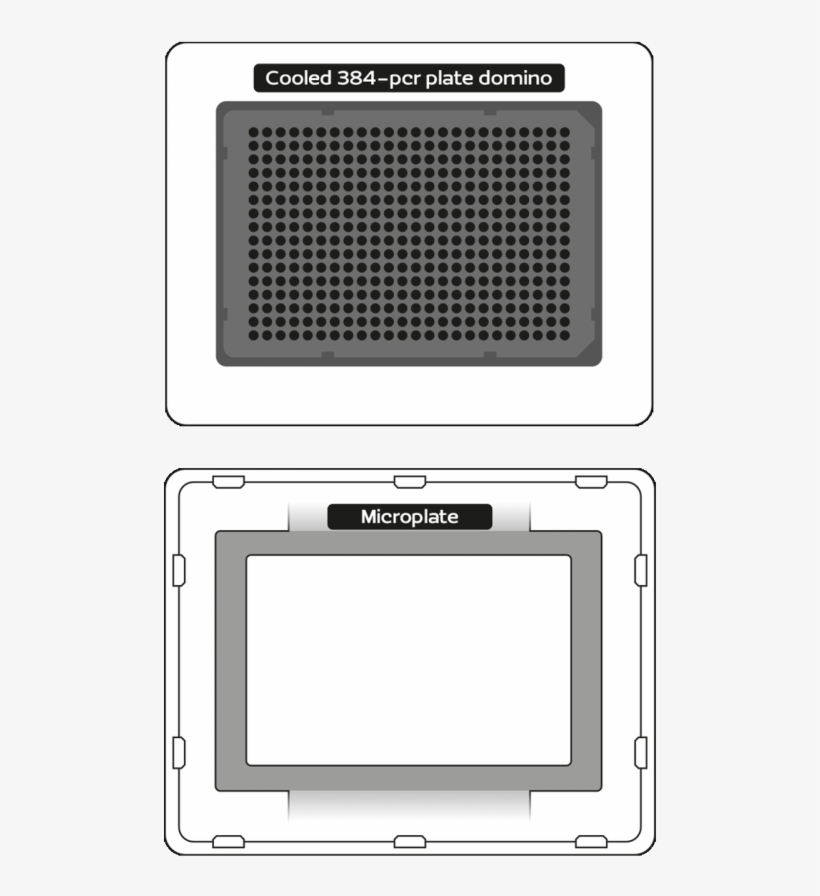 Dominos For 384-pcr Plate - Andrew Alliance S.a., transparent png download