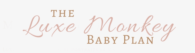 The Luxe Monkey Baby Plan - Jake & Ling Ling By R. S. Carter, transparent png download