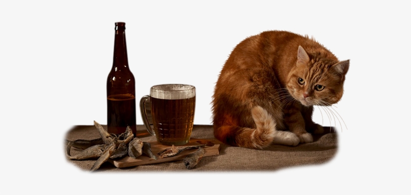 X - Sneaking A Sip Of Beer Pillow Case, transparent png download