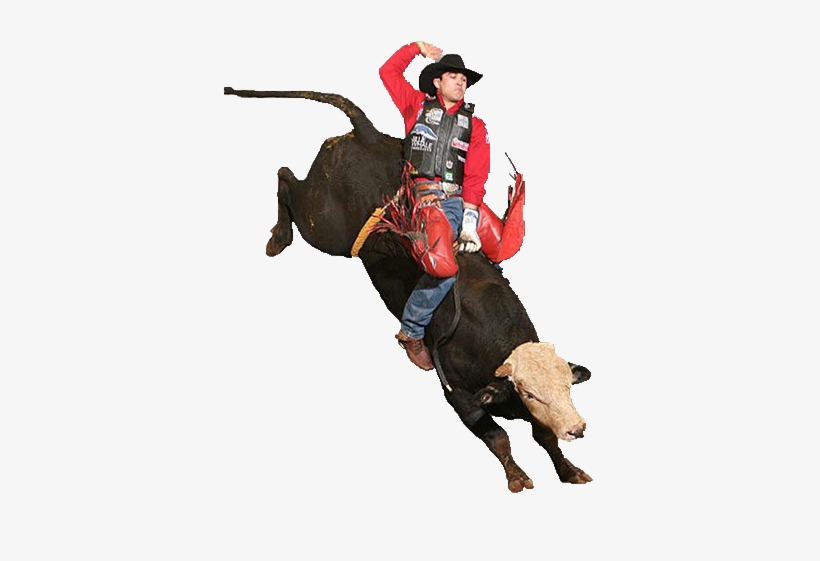 Mechanical Bull Png - Imagen De Toros Png, transparent png download