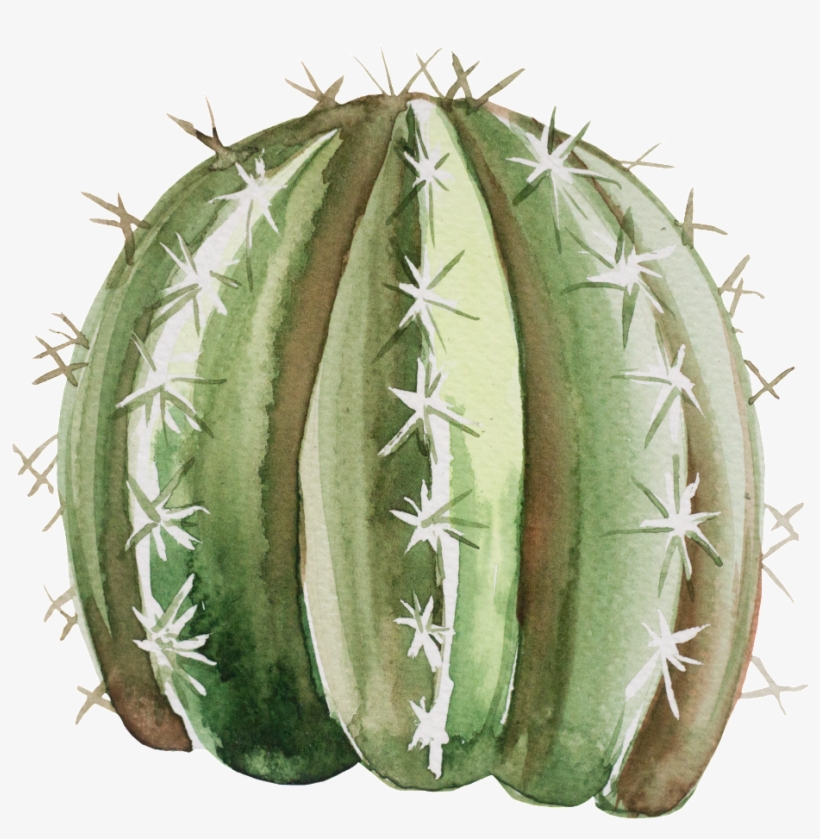 Hand Painted Cartoon Fairy Head Transparent - Portable Network Graphics, transparent png download