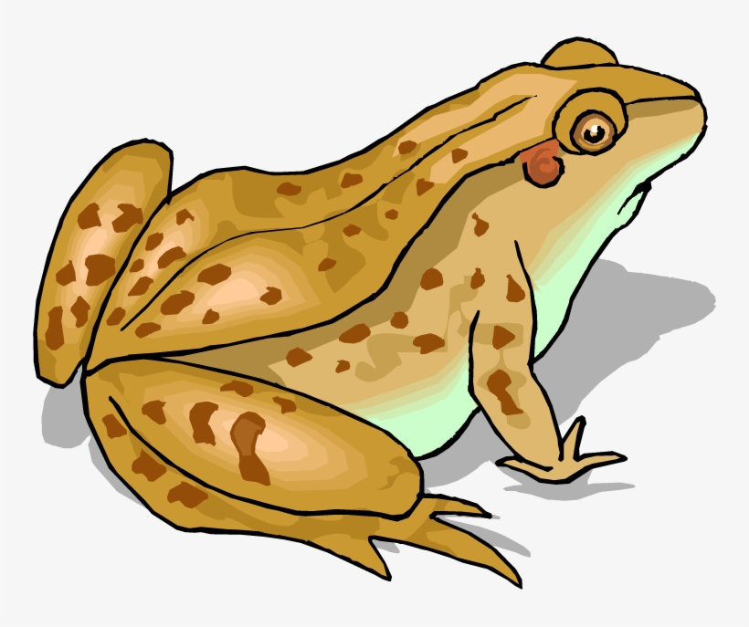 Clipart Free Download Top Clip Art Free Image - Toad Clipart, transparent png download