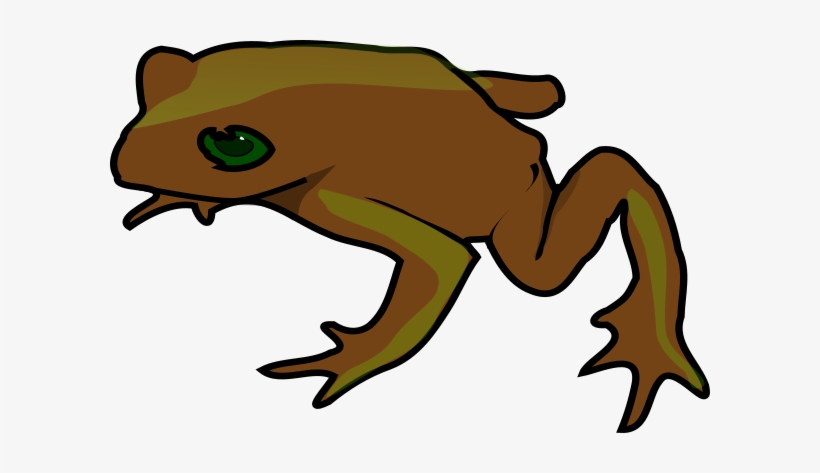 Small - Cafepress Green Frog Queen Duvet, transparent png download