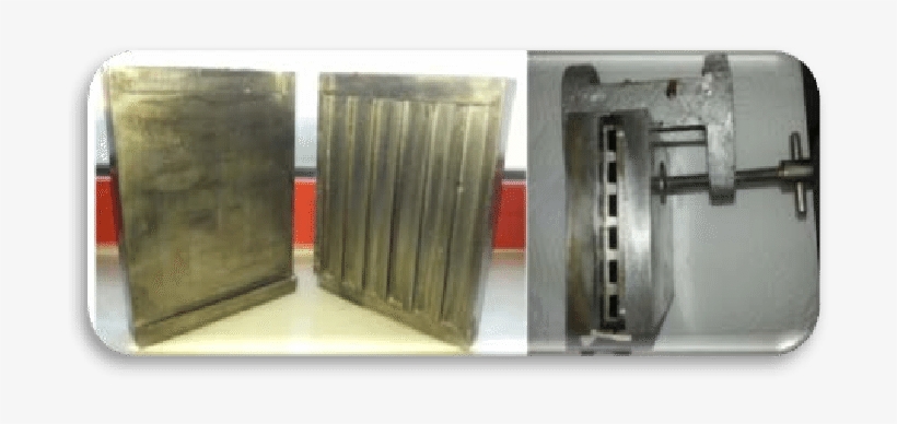 Photographs Of The Mold - Fiber, transparent png download