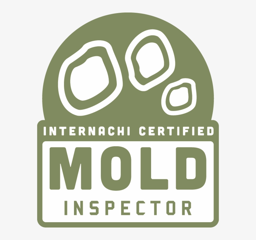 Published December 20, 2016 At 582 × 688 In Mold - Internachi Mold Inspector, transparent png download
