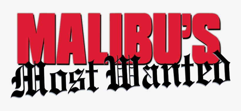 Malibu's Most Wanted Image - Ost/: Malibus Most Wanted Cd, transparent png download